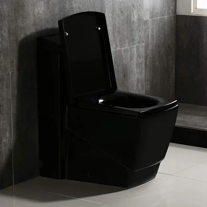 WOODBRIDGE Modern Square Design One Piece Dual Flush 1.28 GP Toilet, Chair Height with Soft Closing Seat, Black