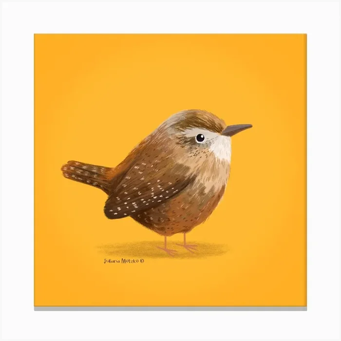 Wren Bird Canvas Print by Juliana Motzko