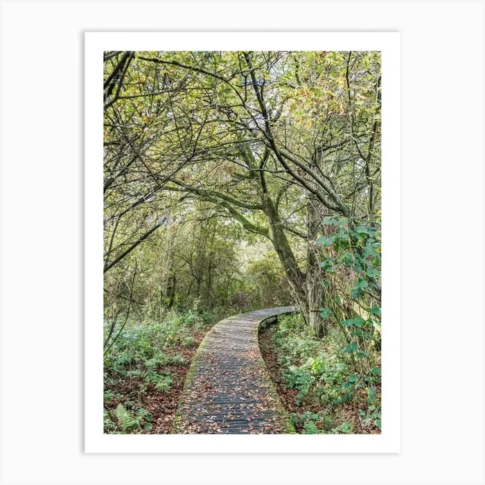 Yellow And Green Autumn Leaves Art PrintP by Photolovers