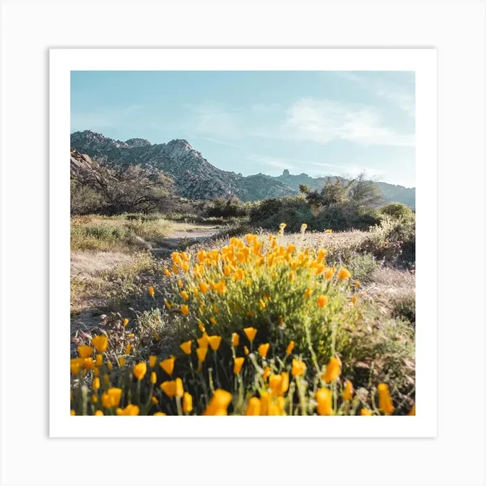 Yellow Flowers Square Art Print by Erica Fuchs Photography