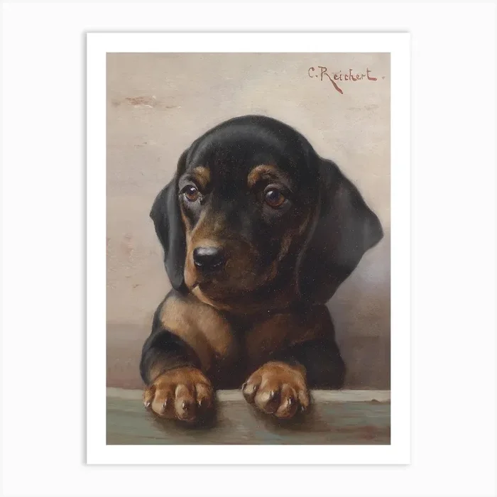 Young Dachshund, Carl Reichert Art Print by Fy! Classic Art Prints and Posters