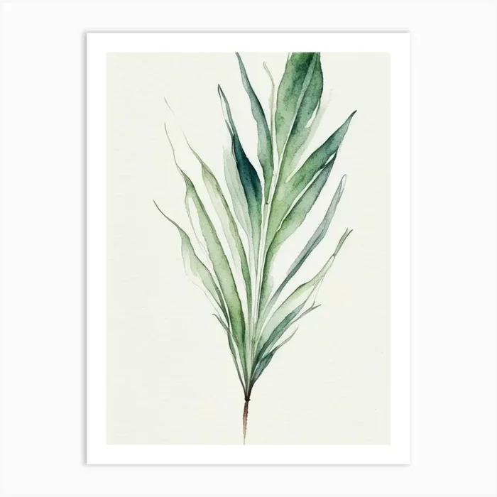 Yucca Leaf Minimalist Watercolour 5 Art PrintL& by Leaf & Stem Studio