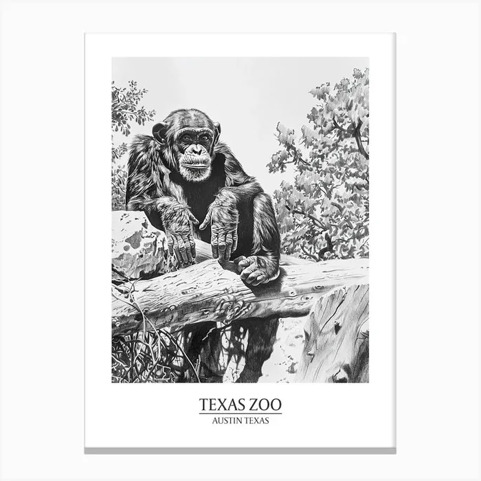Zoo Austin Texas Black And White Drawing 3 Poster Canvas Print by PixelPerfect