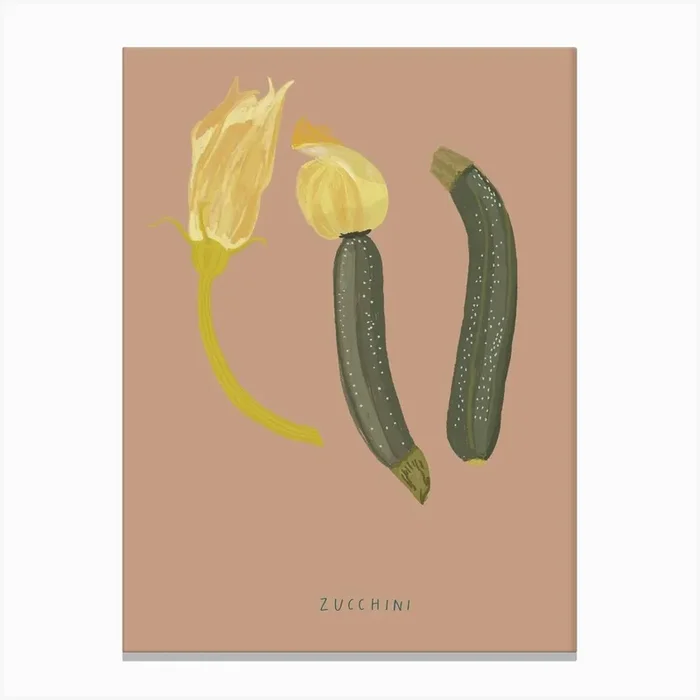 Zucchini Canvas Print by Hanna Melin